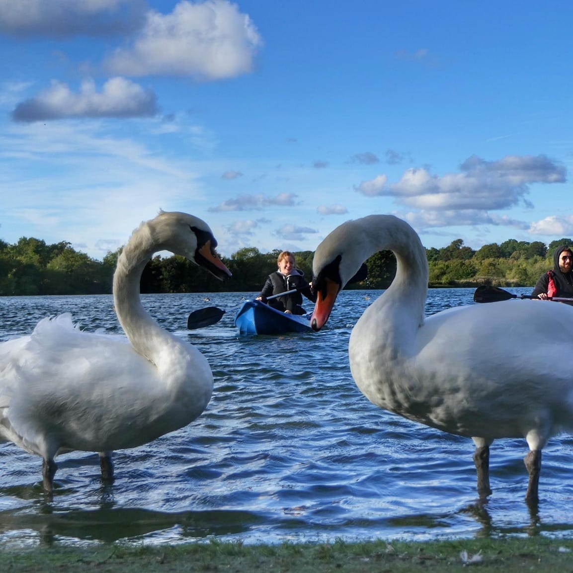 park_in_the_past_lake_6